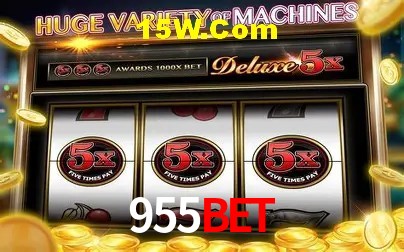 Security Systems 955Bet
